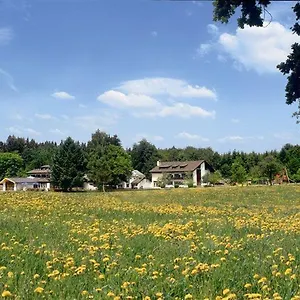 Wald- Und Tagungshotel Gelaender 3* Schernfeld